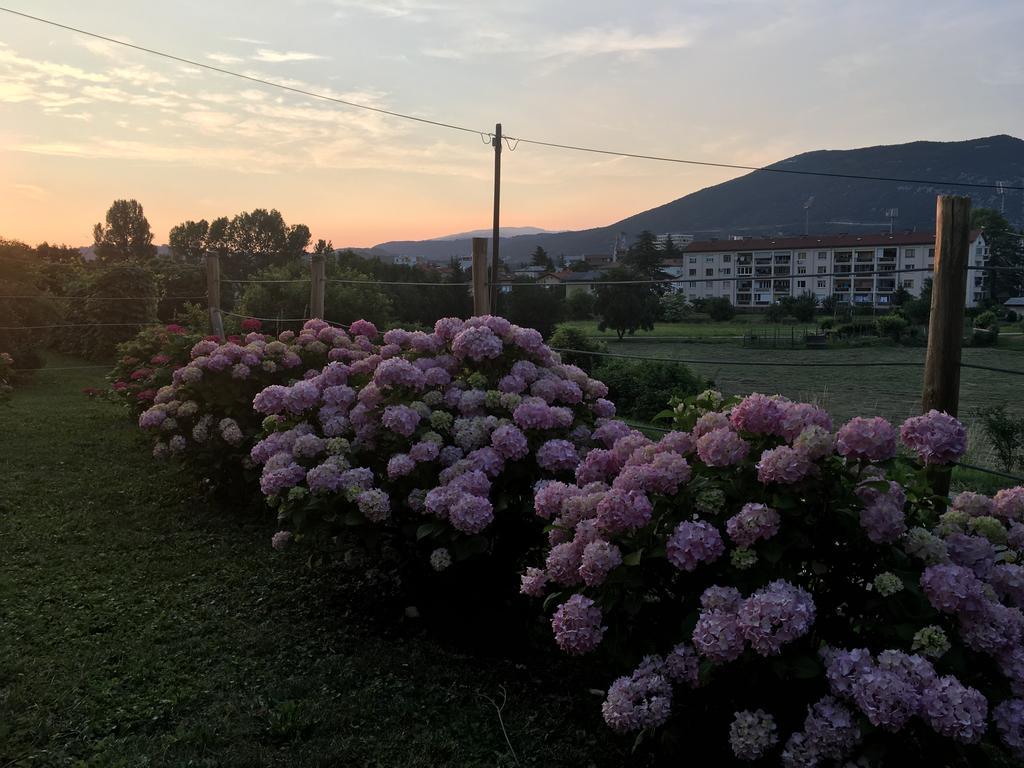 Apartment Nova Gorica - Nocitve Falco Bagian luar foto