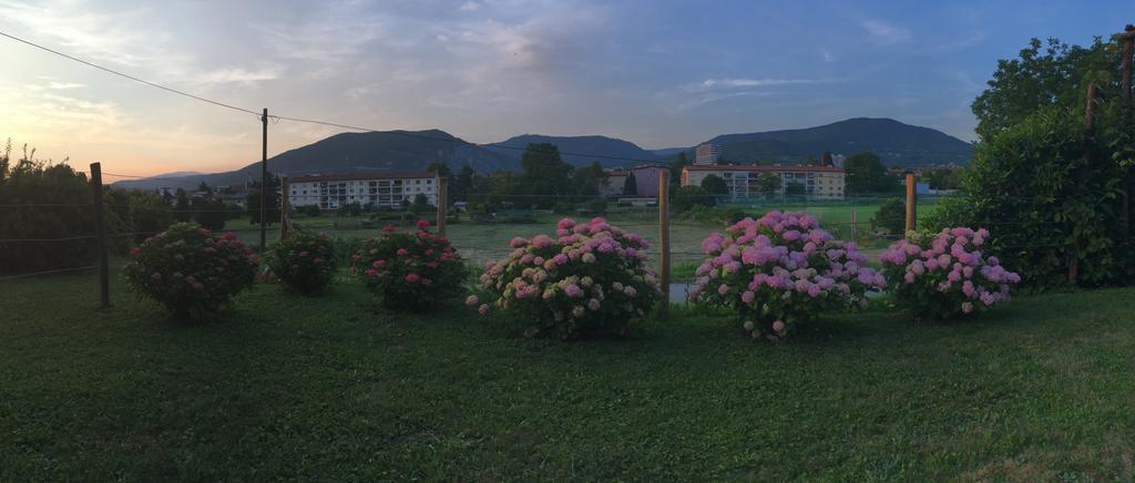 Apartment Nova Gorica - Nocitve Falco Bagian luar foto